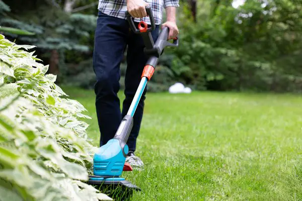 Are Battery-Powered Strimmers Any Good